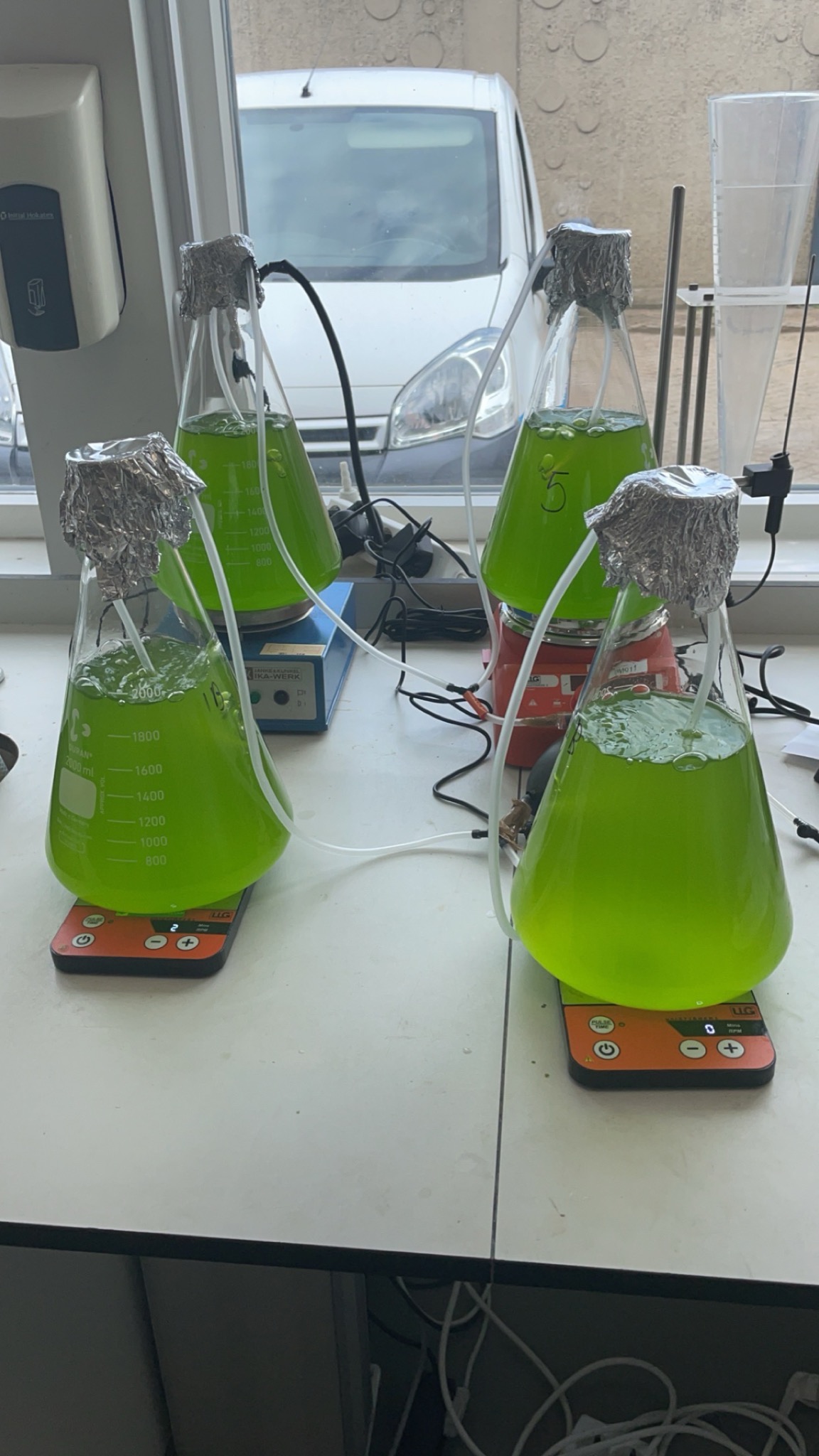 Algen reactor